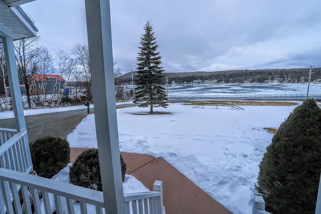 view of snowy yard