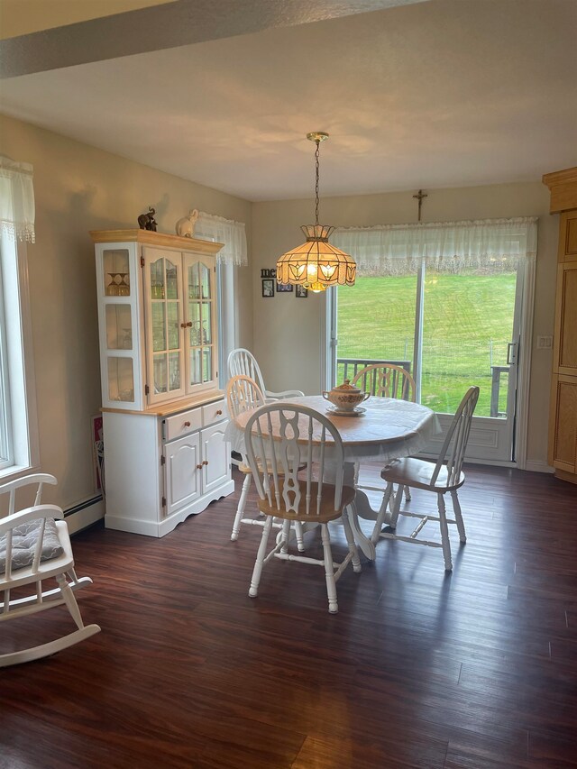 dining space with baseboard heating and dark hardwood / wood-style floors