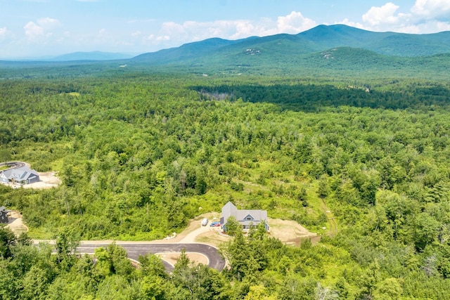 bird's eye view with a mountain view