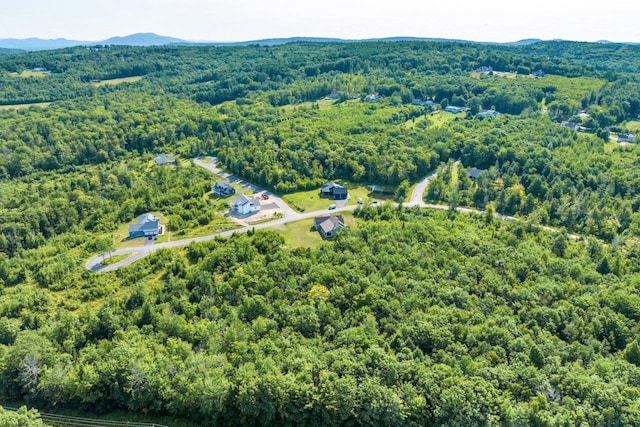 bird's eye view featuring a mountain view