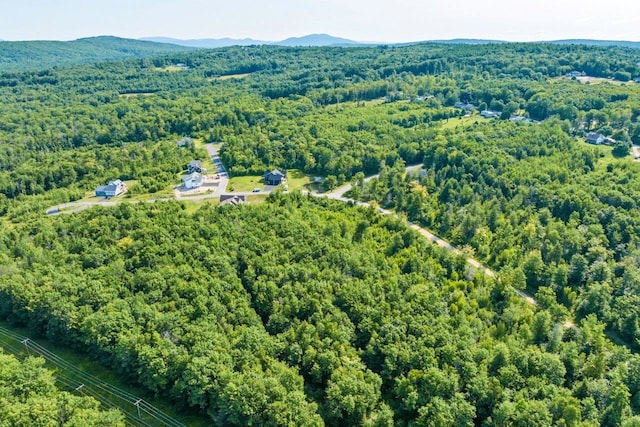 aerial view with a mountain view