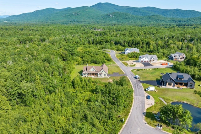 drone / aerial view with a mountain view