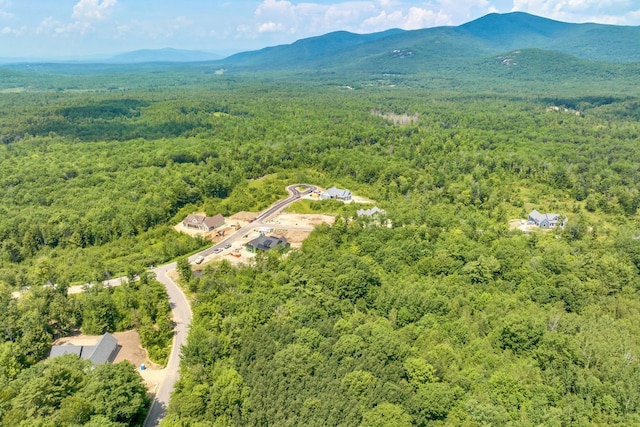 aerial view with a mountain view