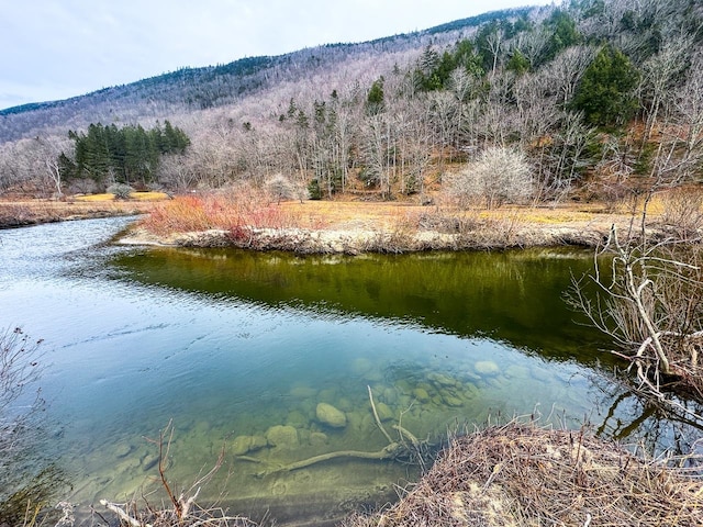 Listing photo 2 for 0 Mission Farm Rd, Killington VT 05751