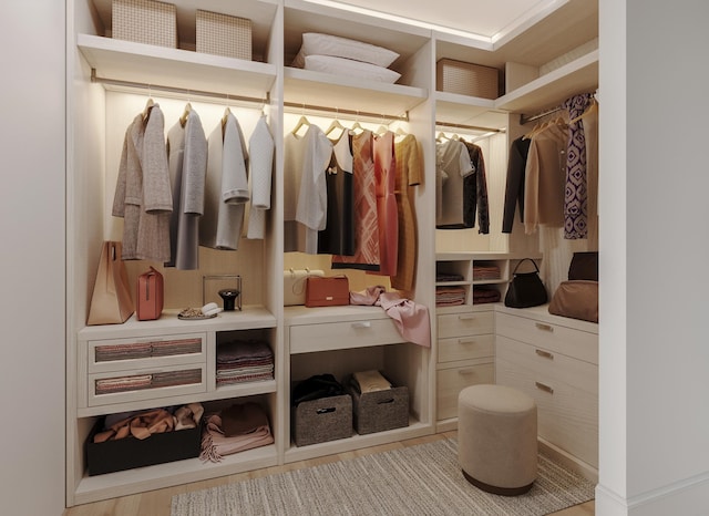 view of spacious closet