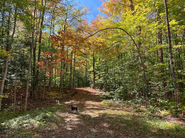 Listing photo 2 for LOT7 Rod And Gun Club Rd, Ludlow VT 05149