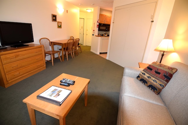 living room with carpet flooring