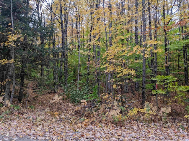 Brookview Ln, Wolcott VT, 05680 land for sale