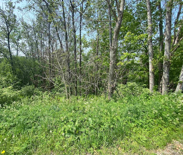 00 Wallace Hill Rd, Randolph VT, 05060 land for sale