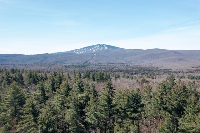 0 Stark Farm Rd, Winhall VT, 05340 land for sale