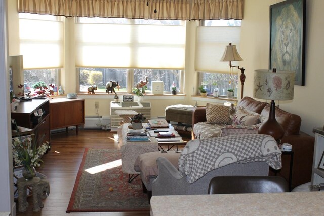 living room with a baseboard radiator and dark hardwood / wood-style floors