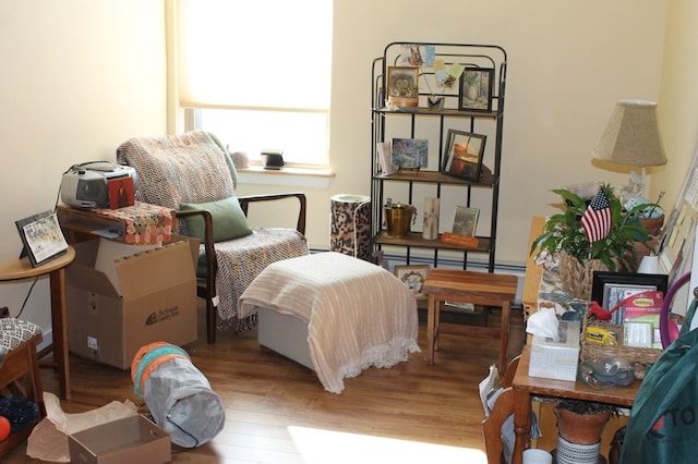 bedroom featuring wood-type flooring