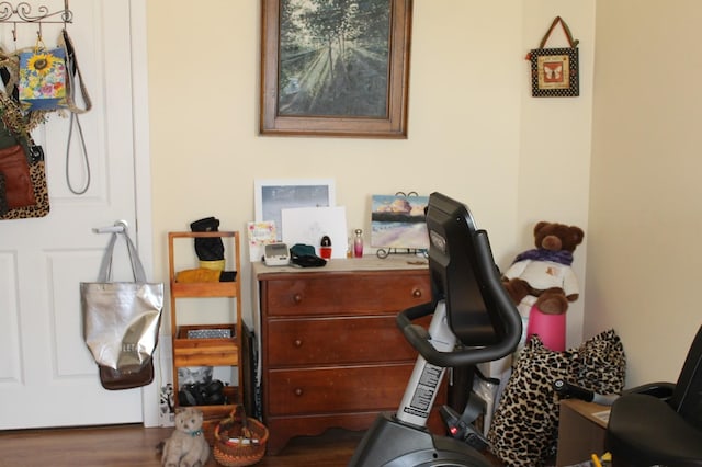 office with wood-type flooring