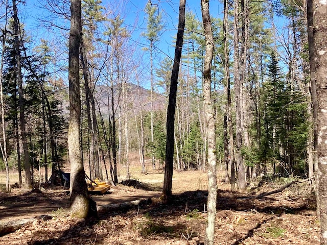 LOT2 Mountain Shadows Dr, Tuftonboro NH, 03816 land for sale