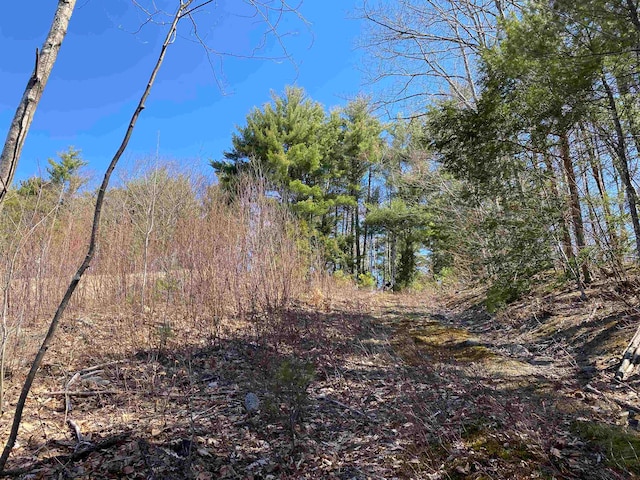 Listing photo 2 for LOT43 Marsha Dr, Alton NH 03809