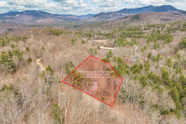 bird's eye view with a mountain view