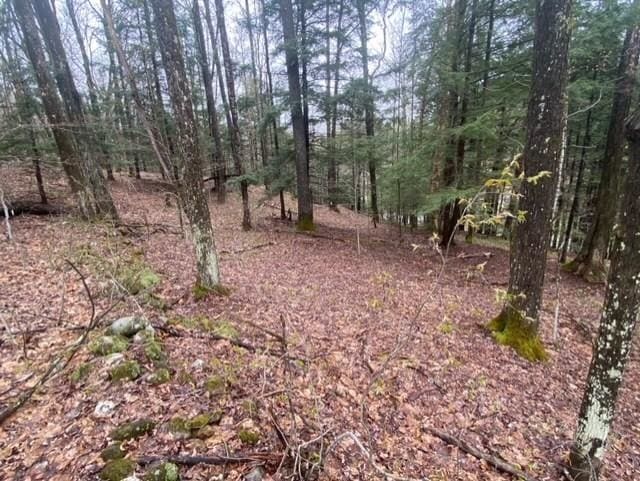 Vt Route 10, Chester VT, 05143 land for sale