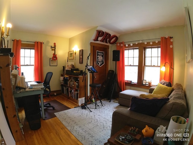 living room featuring wood-type flooring