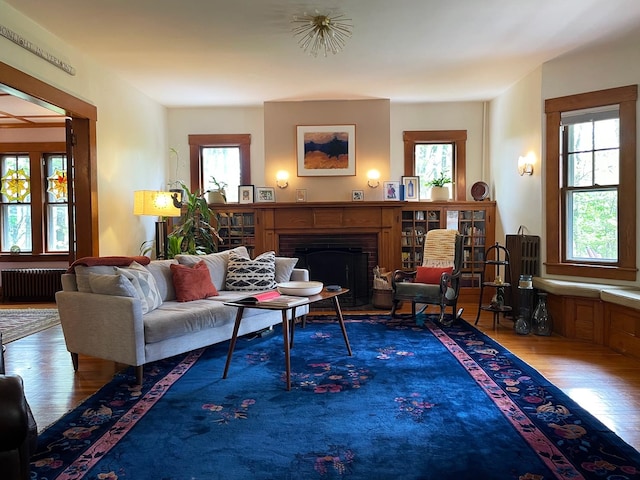 living room featuring wood-type flooring, plenty of natural light, and radiator heating unit