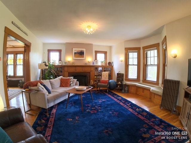 living room with wood-type flooring, a wealth of natural light, and radiator