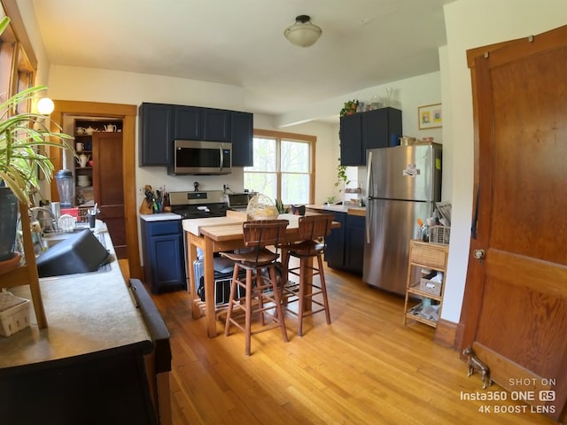 kitchen featuring light hardwood / wood-style floors, sink, and stainless steel appliances