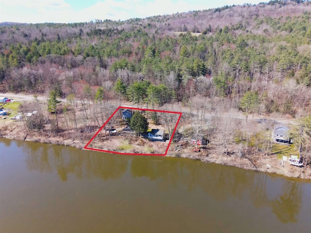 drone / aerial view featuring a water view and a wooded view