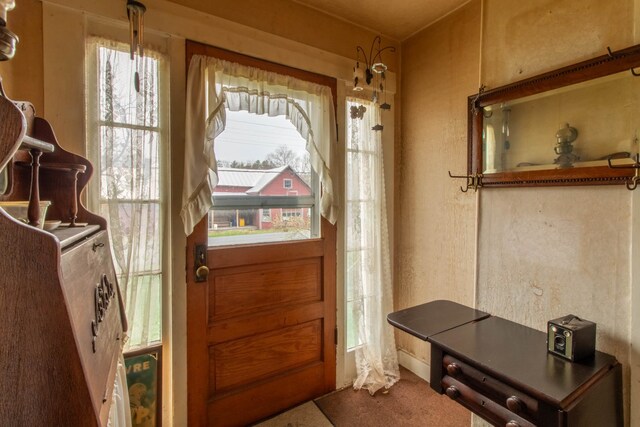 doorway to outside featuring a wealth of natural light