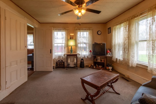 sitting room with ceiling fan and carpet flooring