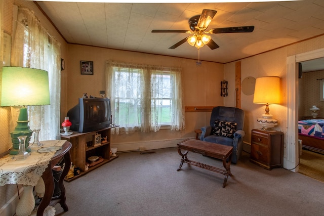 living area with ornamental molding, ceiling fan, and carpet flooring