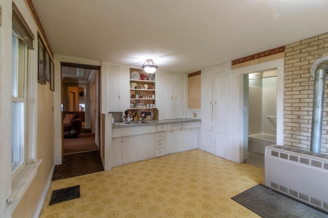 kitchen featuring a healthy amount of sunlight, radiator heating unit, sink, and a textured ceiling