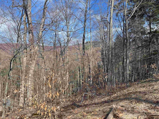 2-47 E Ash Rd, Plymouth VT, 05056 land for sale