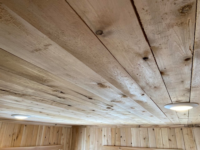 interior details with wood ceiling