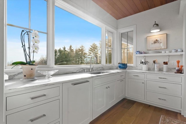 bar with dark wood finished floors, plenty of natural light, a sink, and backsplash