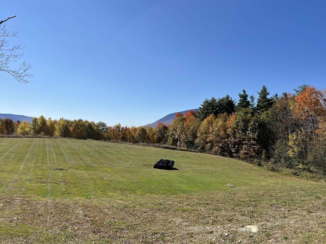 view of yard with a mountain view