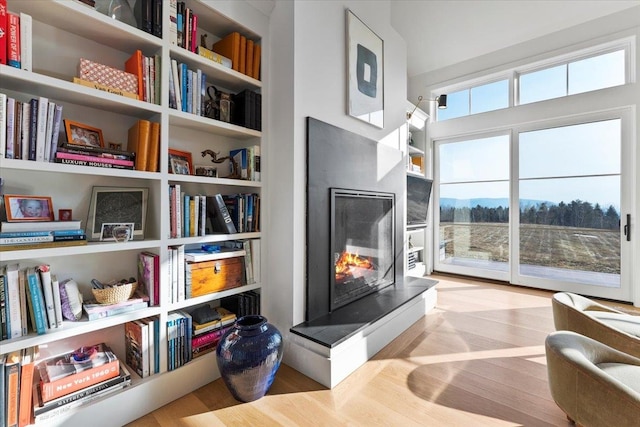 living area featuring a warm lit fireplace and wood finished floors