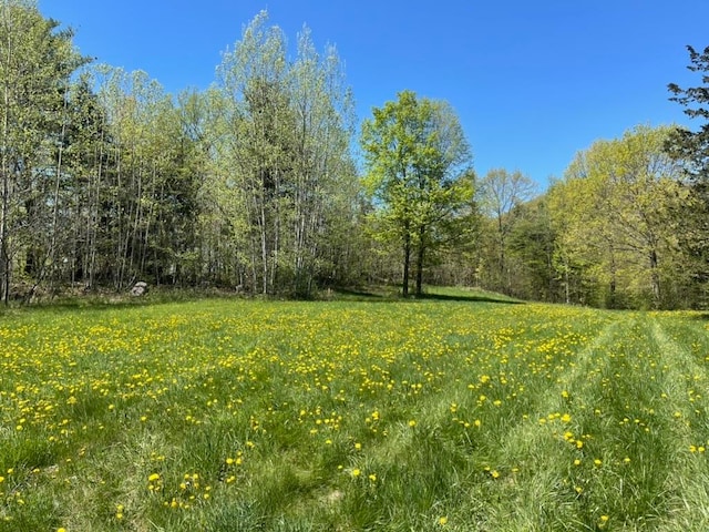 TBD Forrest Rd, Bridport VT, 05734 land for sale