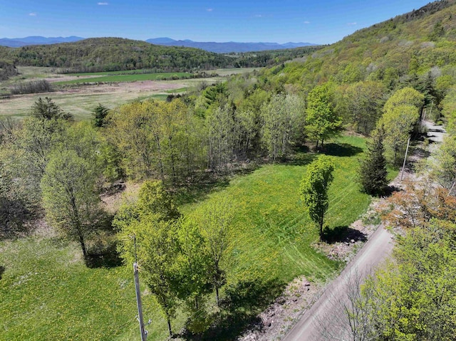 Listing photo 3 for TBD Forrest Rd, Bridport VT 05734