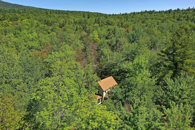 1749 Middletown Rd, Andover VT, 05143 land for sale