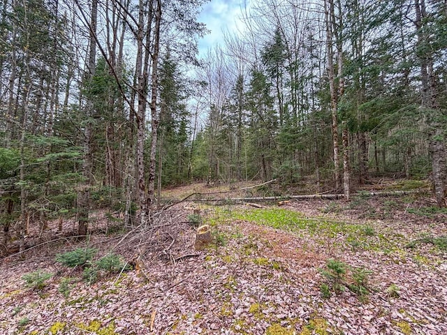 0 Atwood Rd, Brighton VT, 05846 land for sale