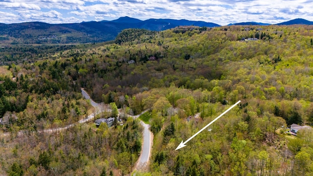 Listing photo 3 for 00 Ellis Ridge Rd, Bartlett NH 03838