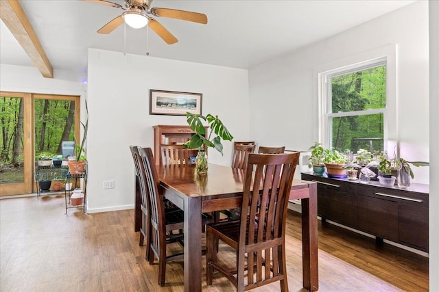 dining room featuring ceiling fan, beam ceiling, and light hardwood / wood-style flooring