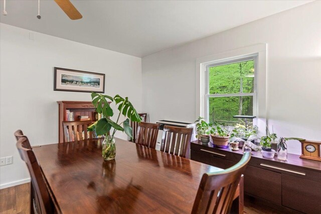 dining area featuring dark hardwood / wood-style flooring and ceiling fan