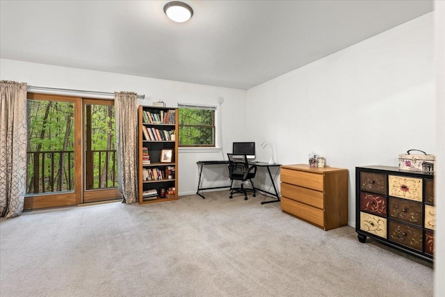 office space featuring plenty of natural light and light colored carpet