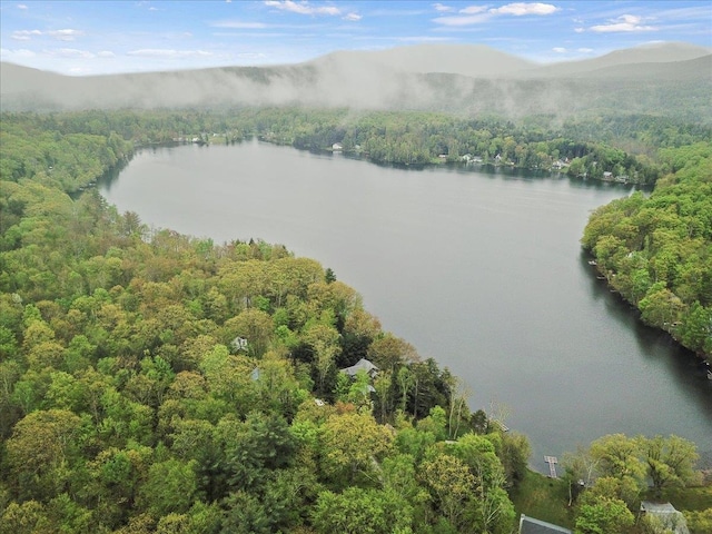 aerial view featuring a water and mountain view