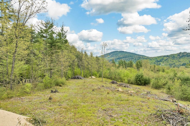 51 Depot Rd, Tamworth NH, 03886 land for sale