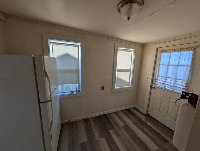 doorway to outside featuring a wealth of natural light and dark wood-type flooring