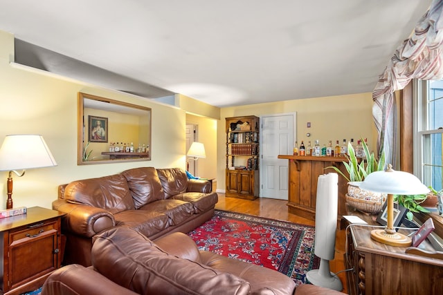 living room with wood-type flooring