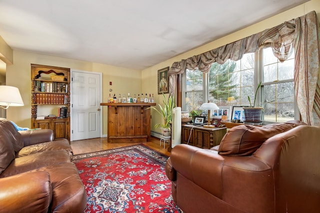 living room with hardwood / wood-style floors and a baseboard radiator