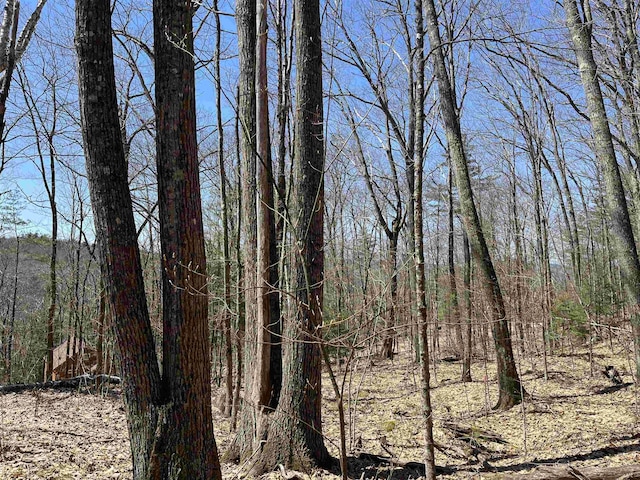view of landscape featuring a forest view