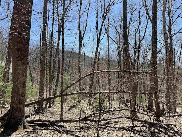 view of landscape with a forest view